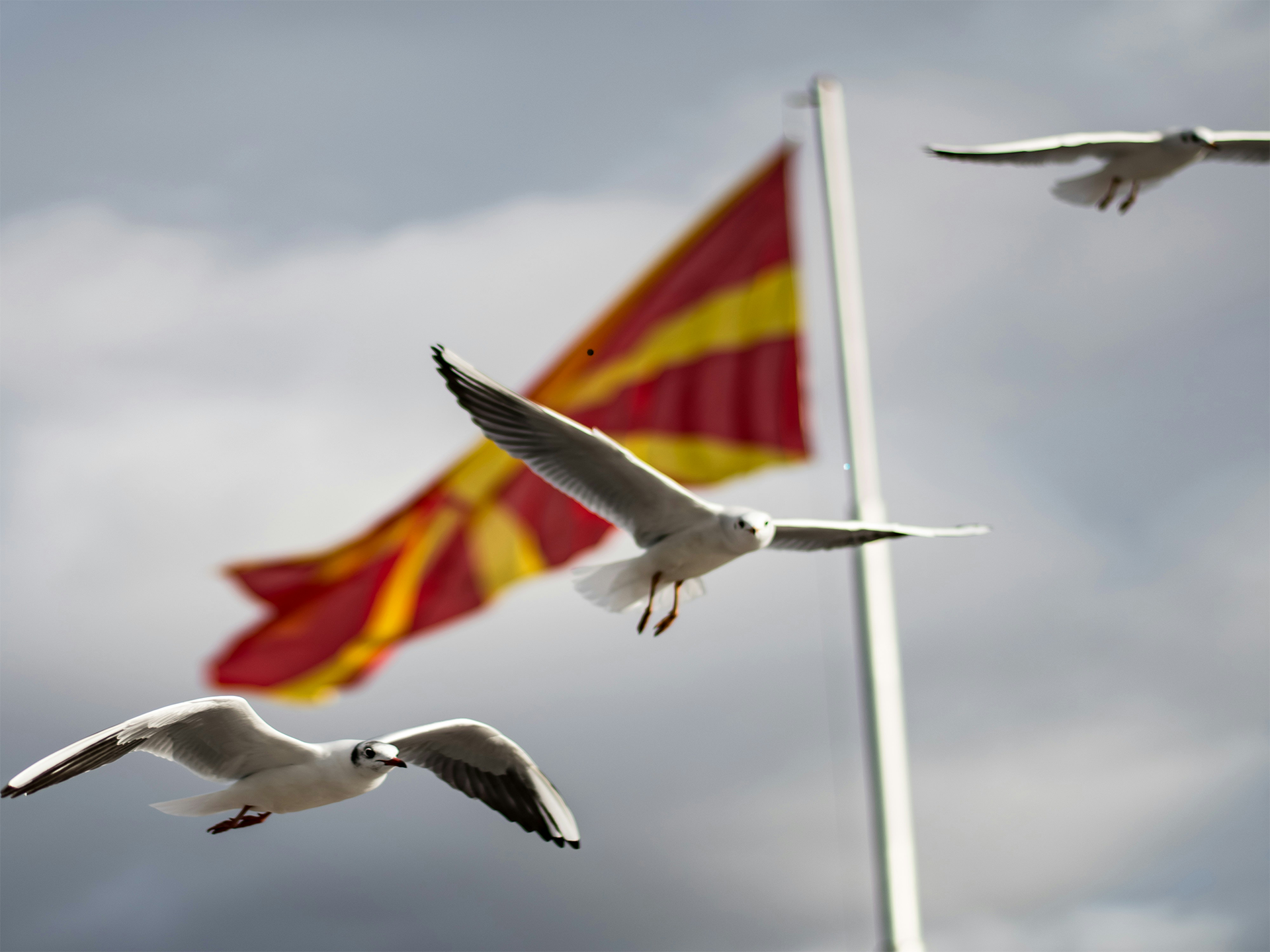 Return to Macedonia This Holiday Season